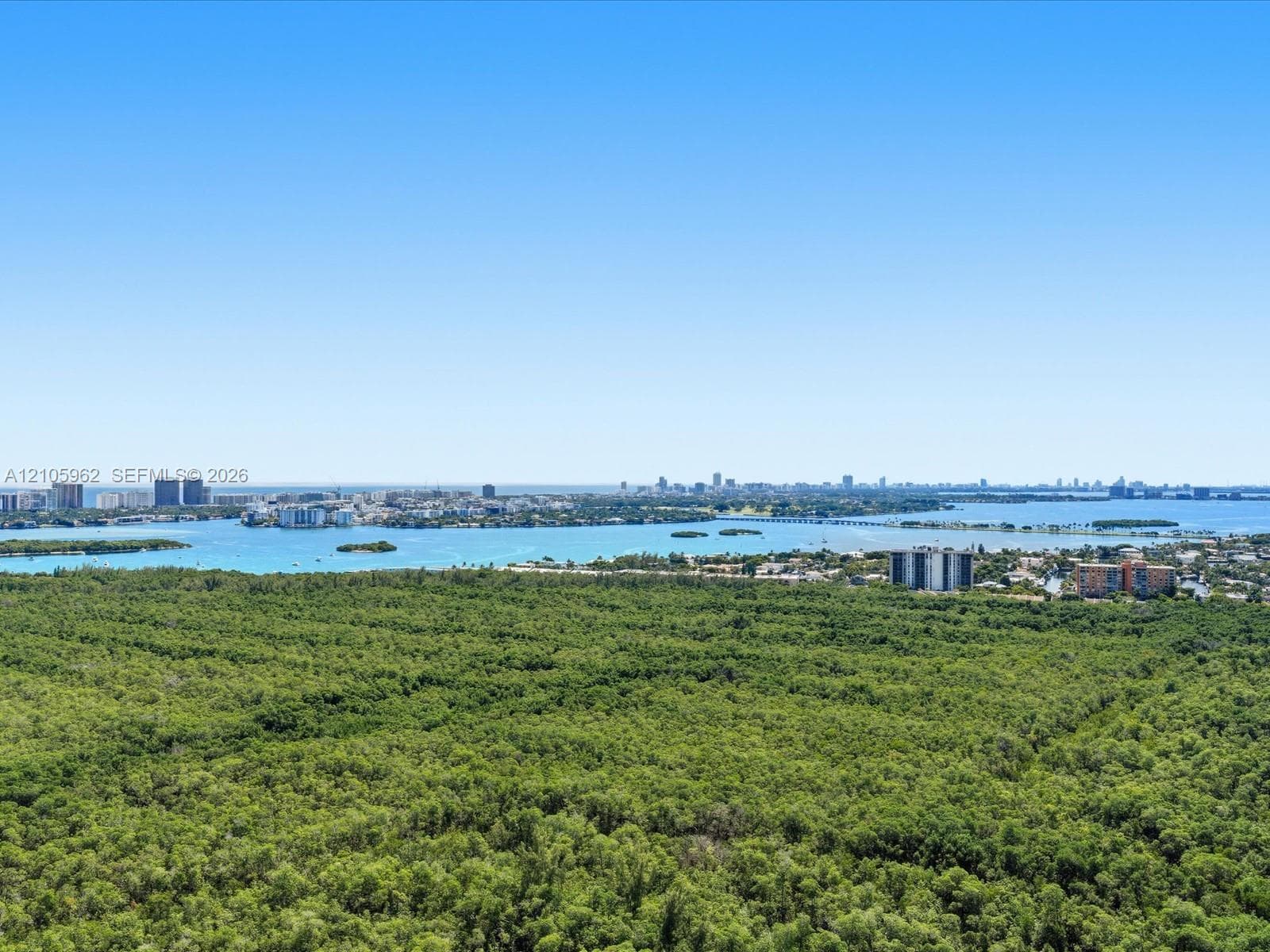 Panoramic perspective featuring dense forest canopy, coastal waterways, and distant urban skyline