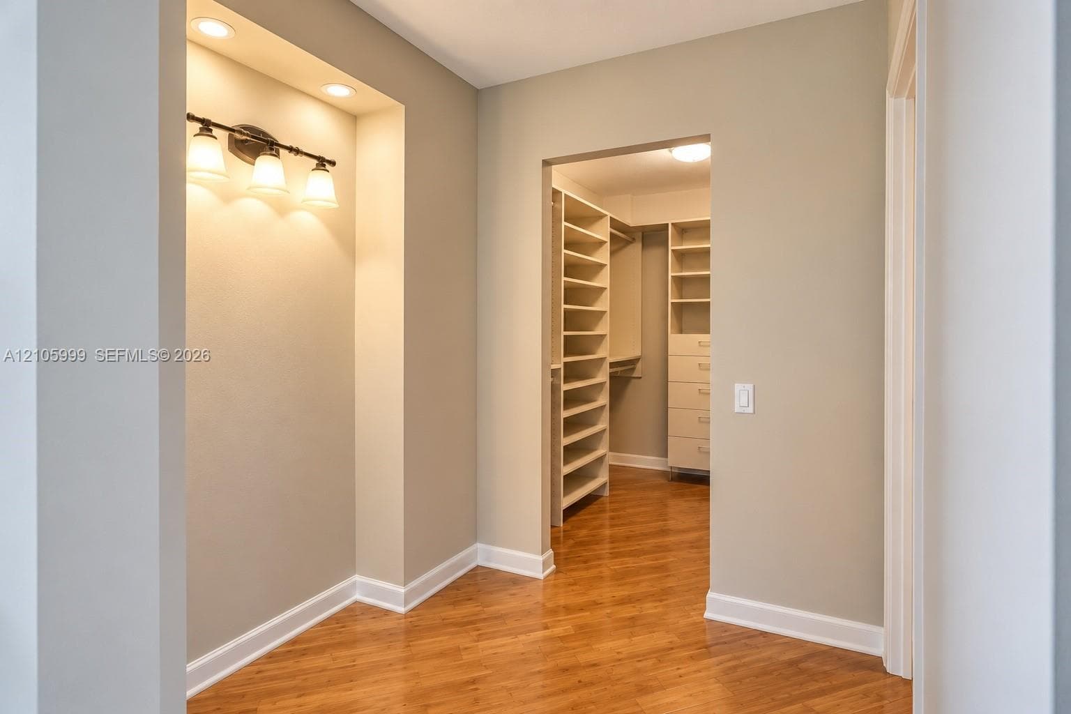 Inset wall niche featuring recessed lighting and a three-bulb wall-mounted fixture, wood-finish flooring, and a walk-in closet with built-in shelving and drawer units