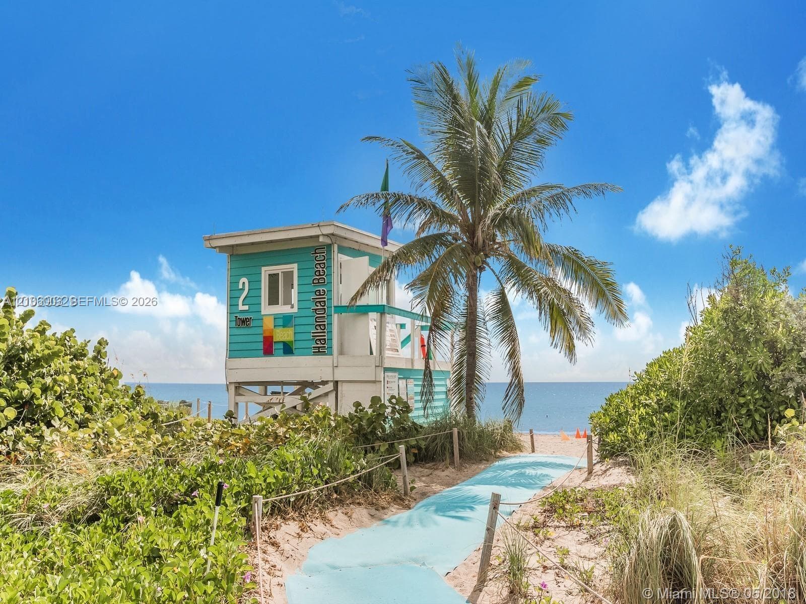 Coastal pathway featuring a paved walkway, mature palm tree, and native greenery leading toward the shoreline