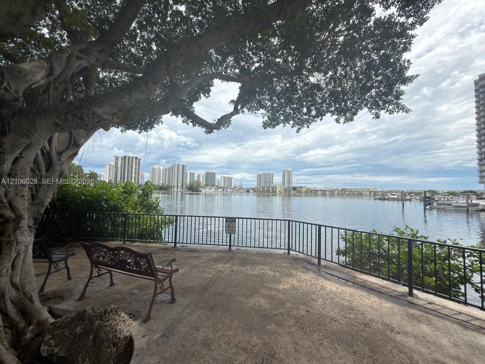 Waterfront terrace featuring a concrete patio, mature tree, and black metal perimeter fencing