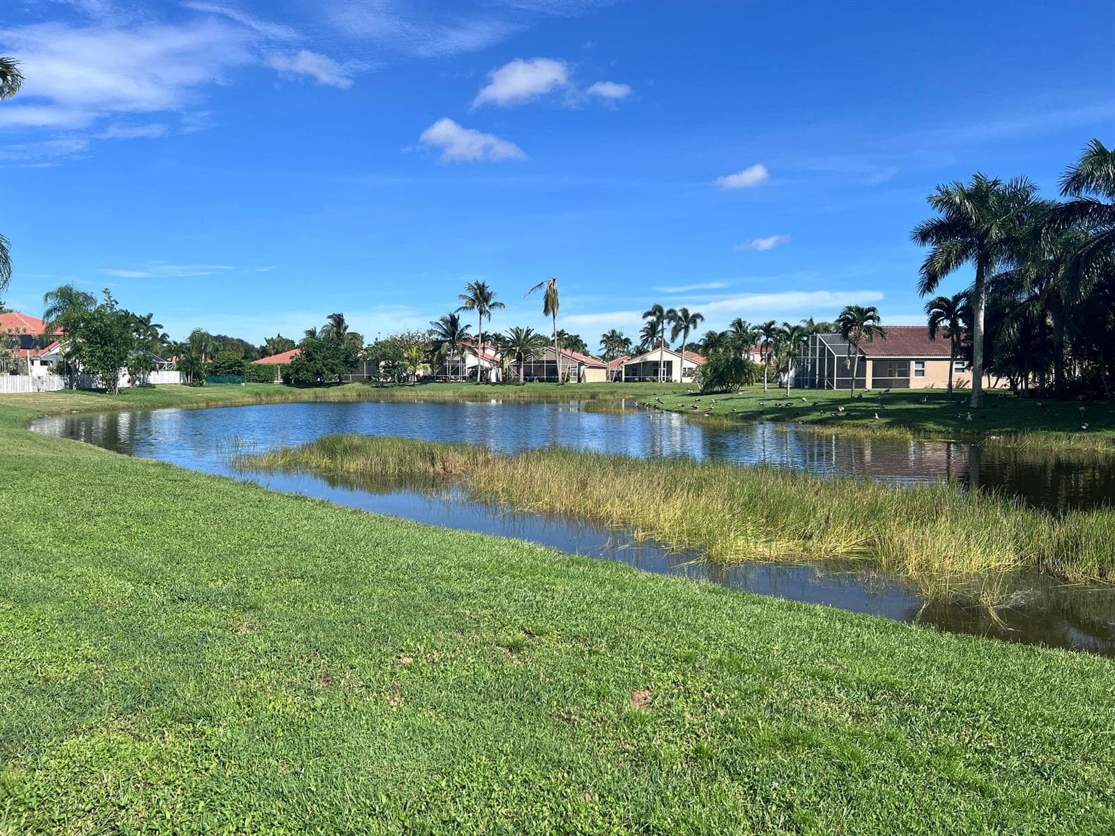 Lake View