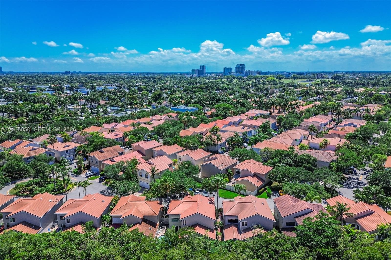 Aerial perspective of a residential community featuring tile-roofed structures, dense tree canopies, and a distant city skyline