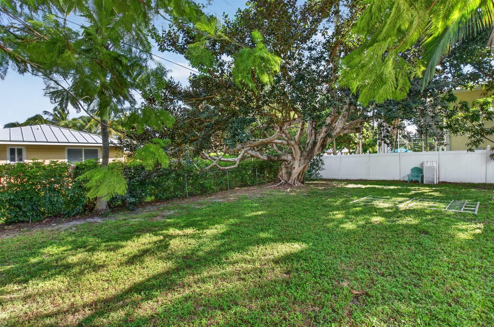 Backyard