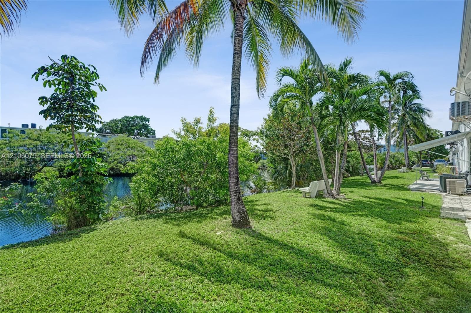 Waterfront backyard featuring a manicured lawn, mature palm trees, and native vegetation