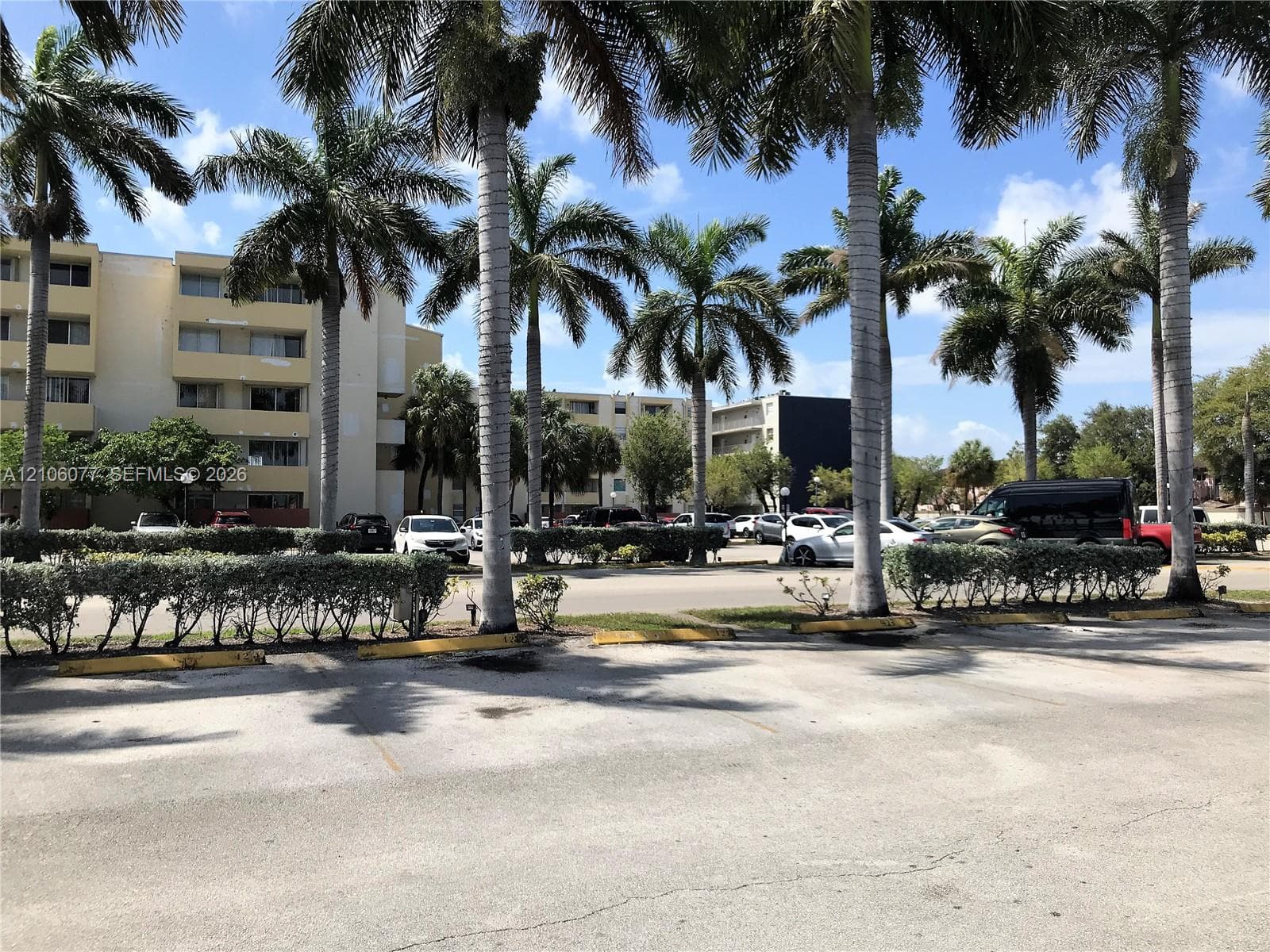 Exterior surface parking area lined with mature palm trees and manicured hedging