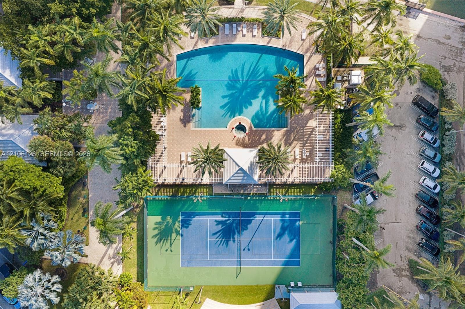 Tennis court featuring a multi-color hard surface, chain-link fencing with privacy screening, overhead lighting, and surrounding palm trees