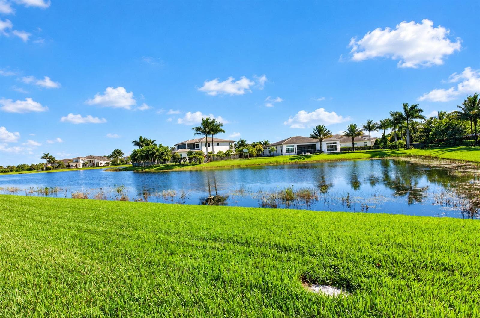 Lake View
