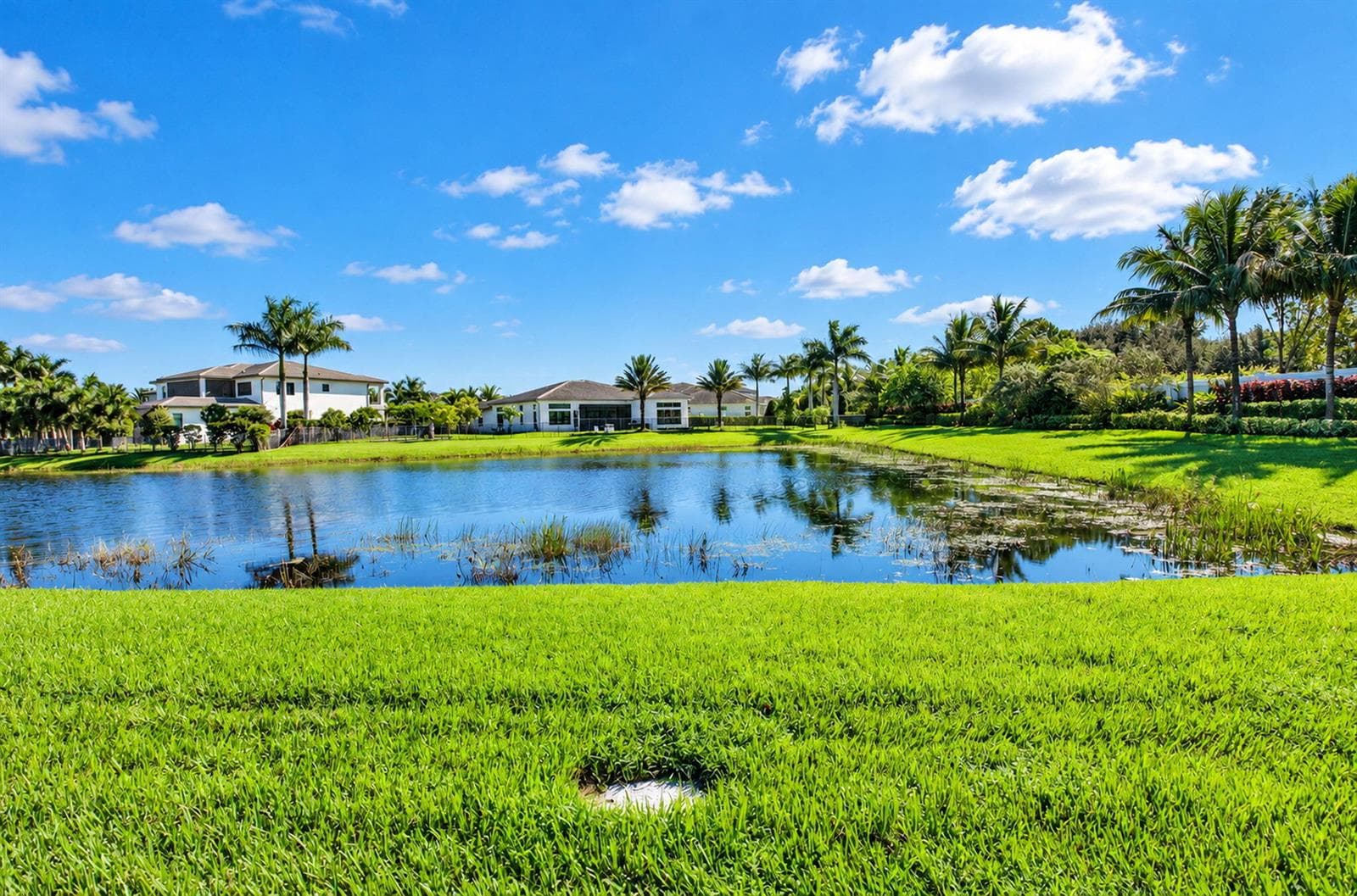 Lake View