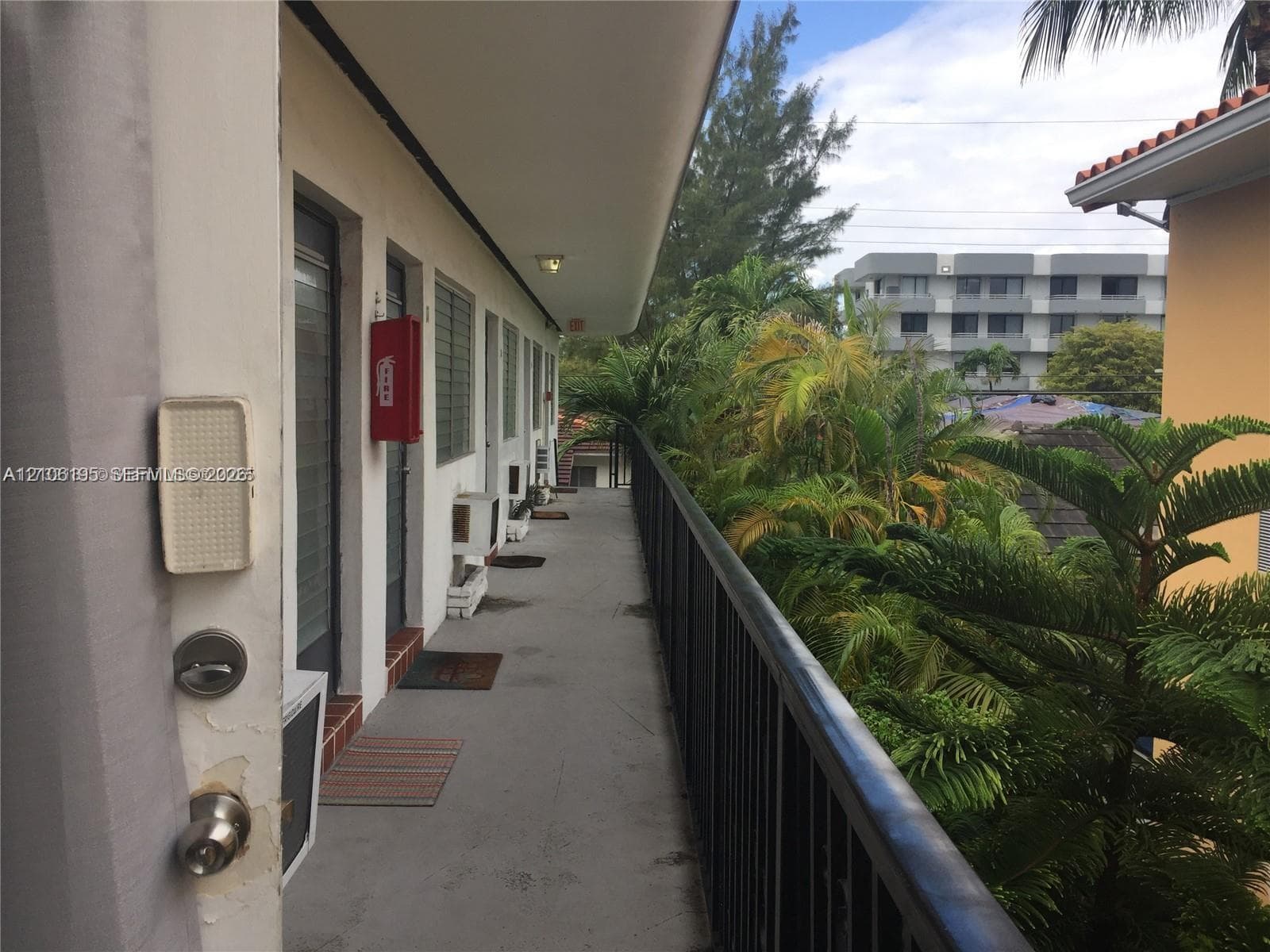 Exterior walkway featuring a concrete surface, metal railing, and overhead lighting, accented by mature palm trees and lush tropical foliage