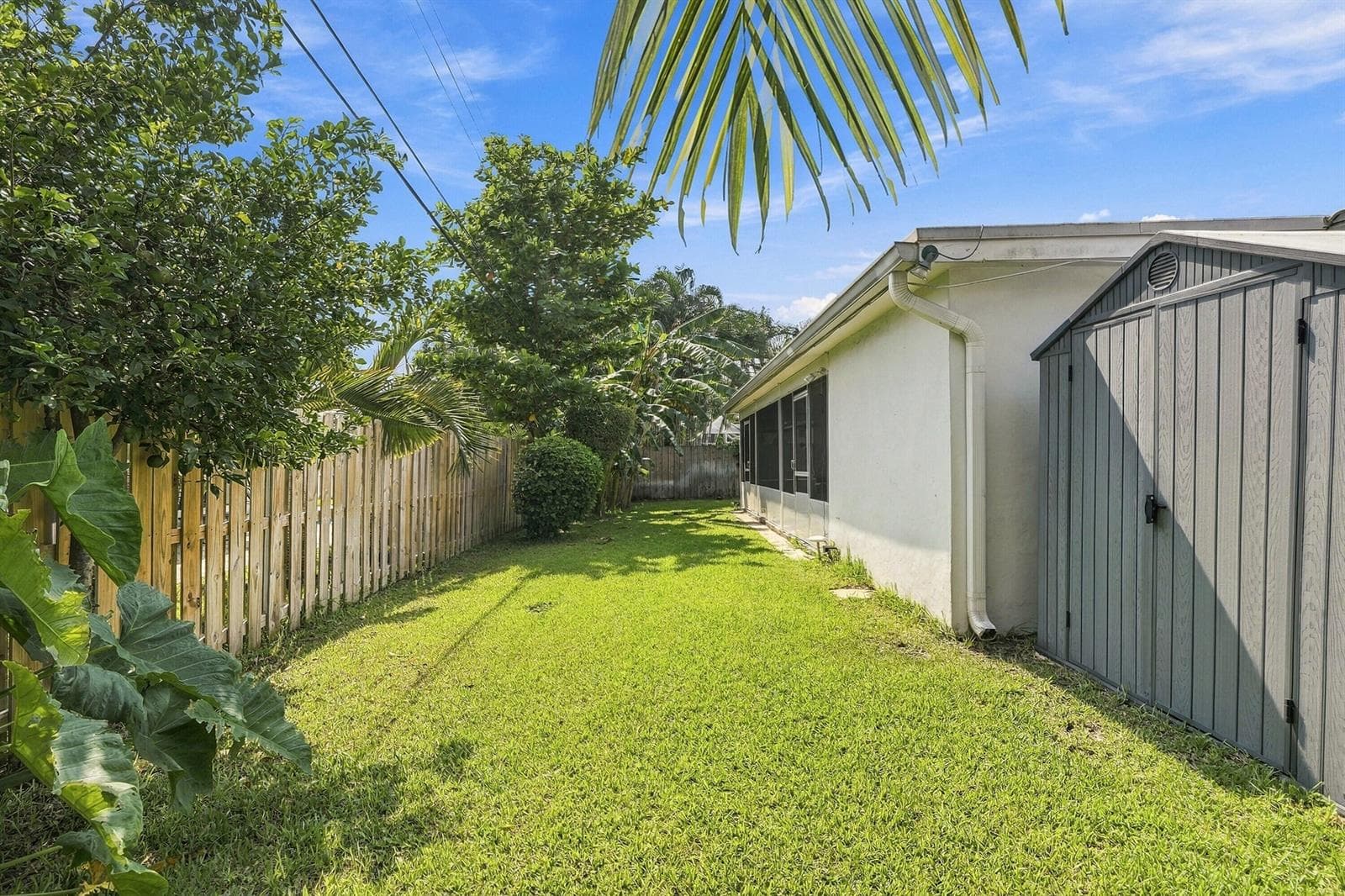 Backyard