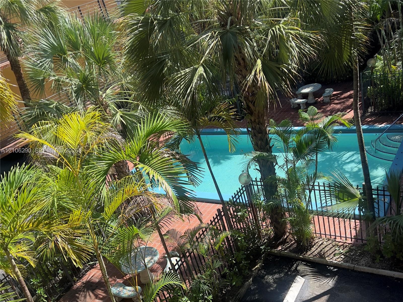 Enclosed swimming pool featuring integrated stairs, surrounded by mature palm trees, paved patio area, and metal perimeter fencing