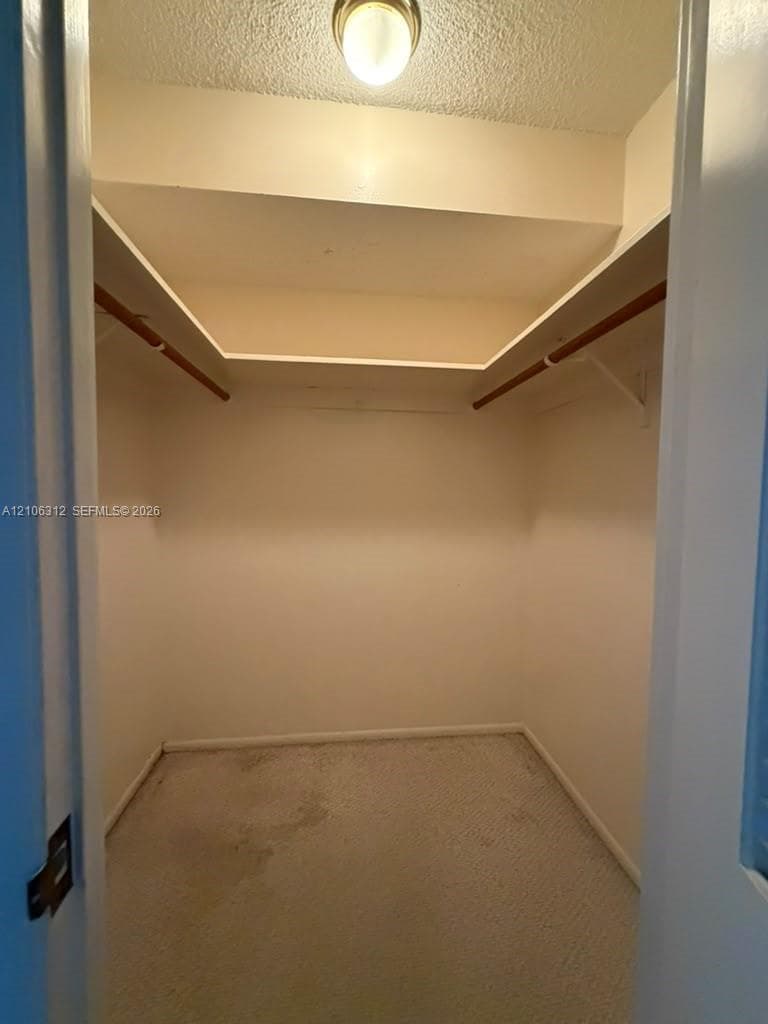 Walk-in closet featuring carpet flooring, dual hanging rods, built-in shelving, and a mounted ceiling light fixture