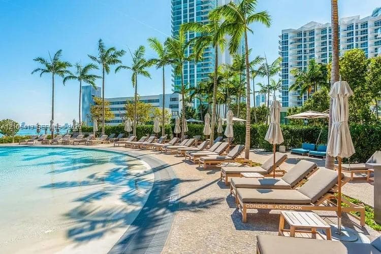 Resort-style pool with a zero-entry edge, surrounded by mature palm trees and extensive stone-paver decking
