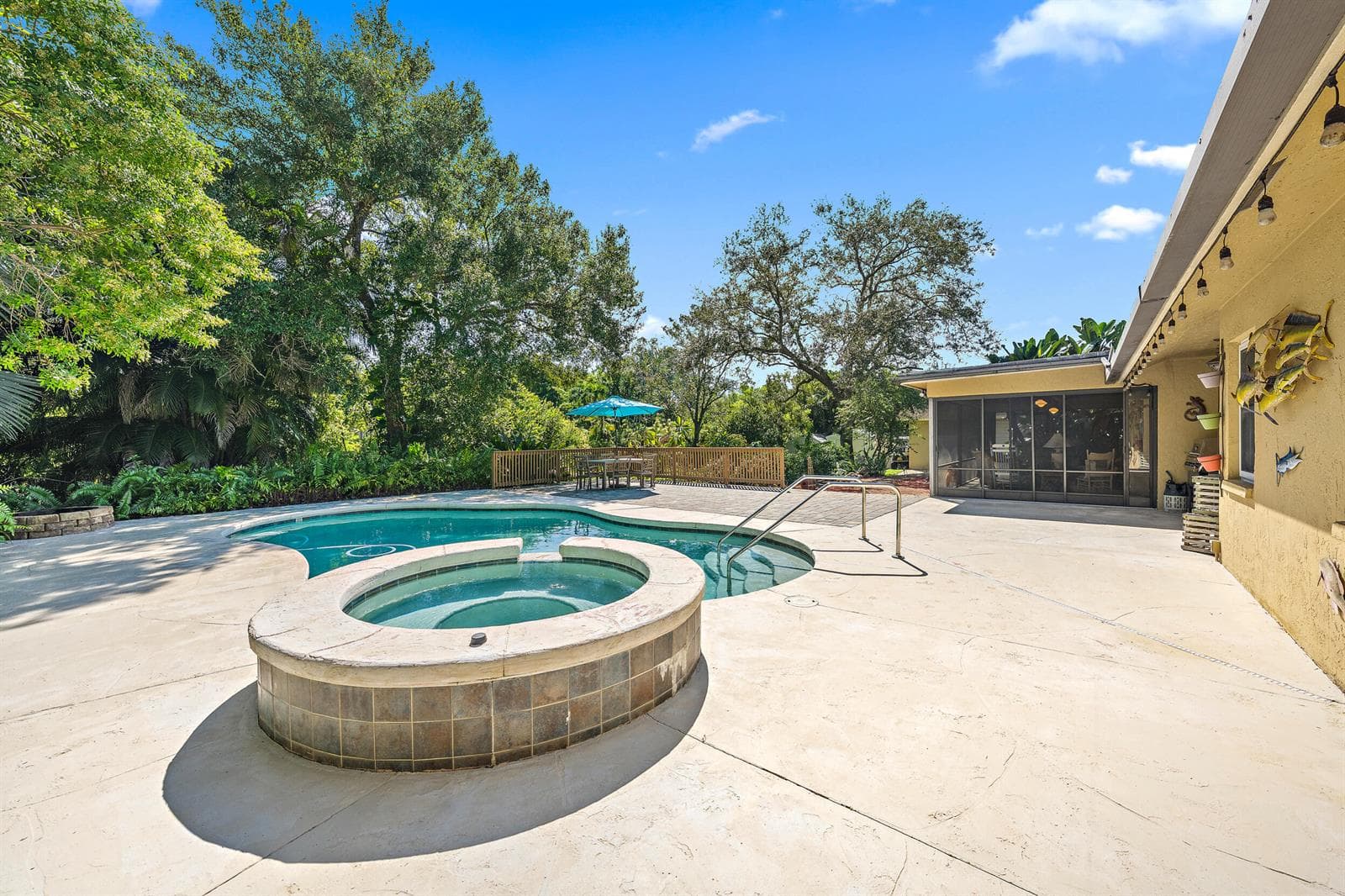 Spa & Swimming Pool