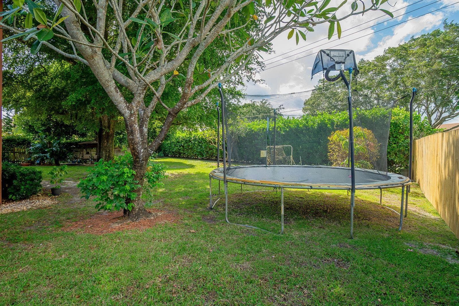 37-web-or-mls-DSC01278