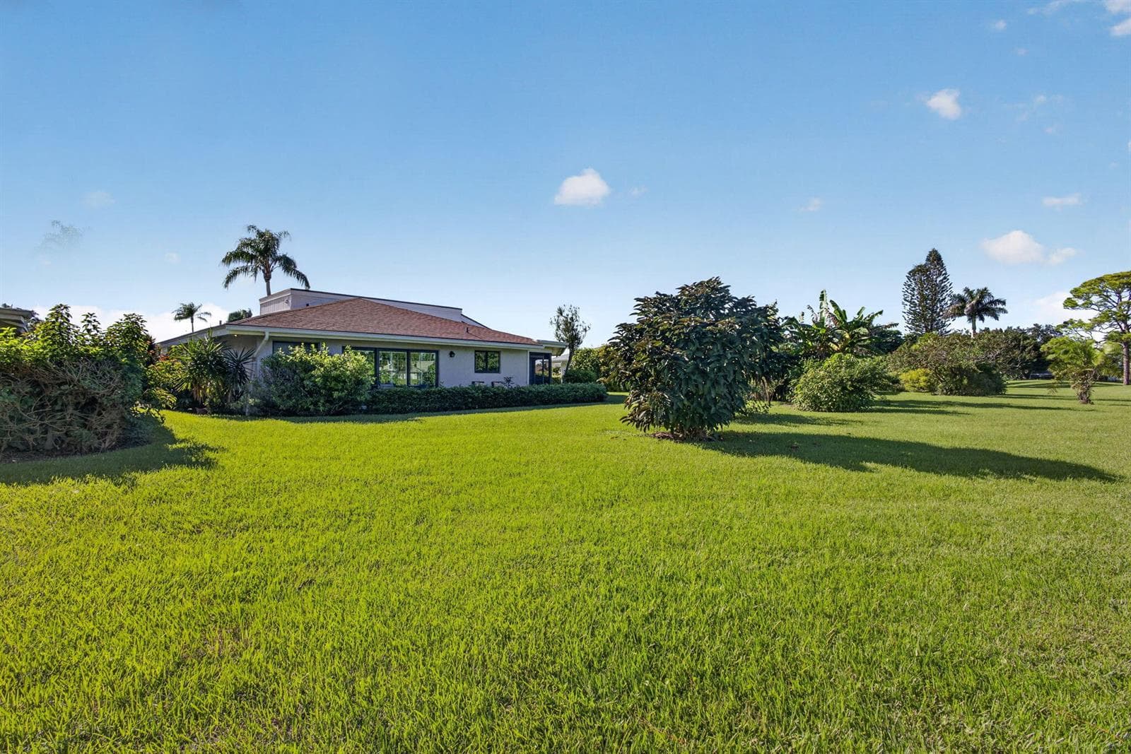 61-web-or-mls-5D1A1745