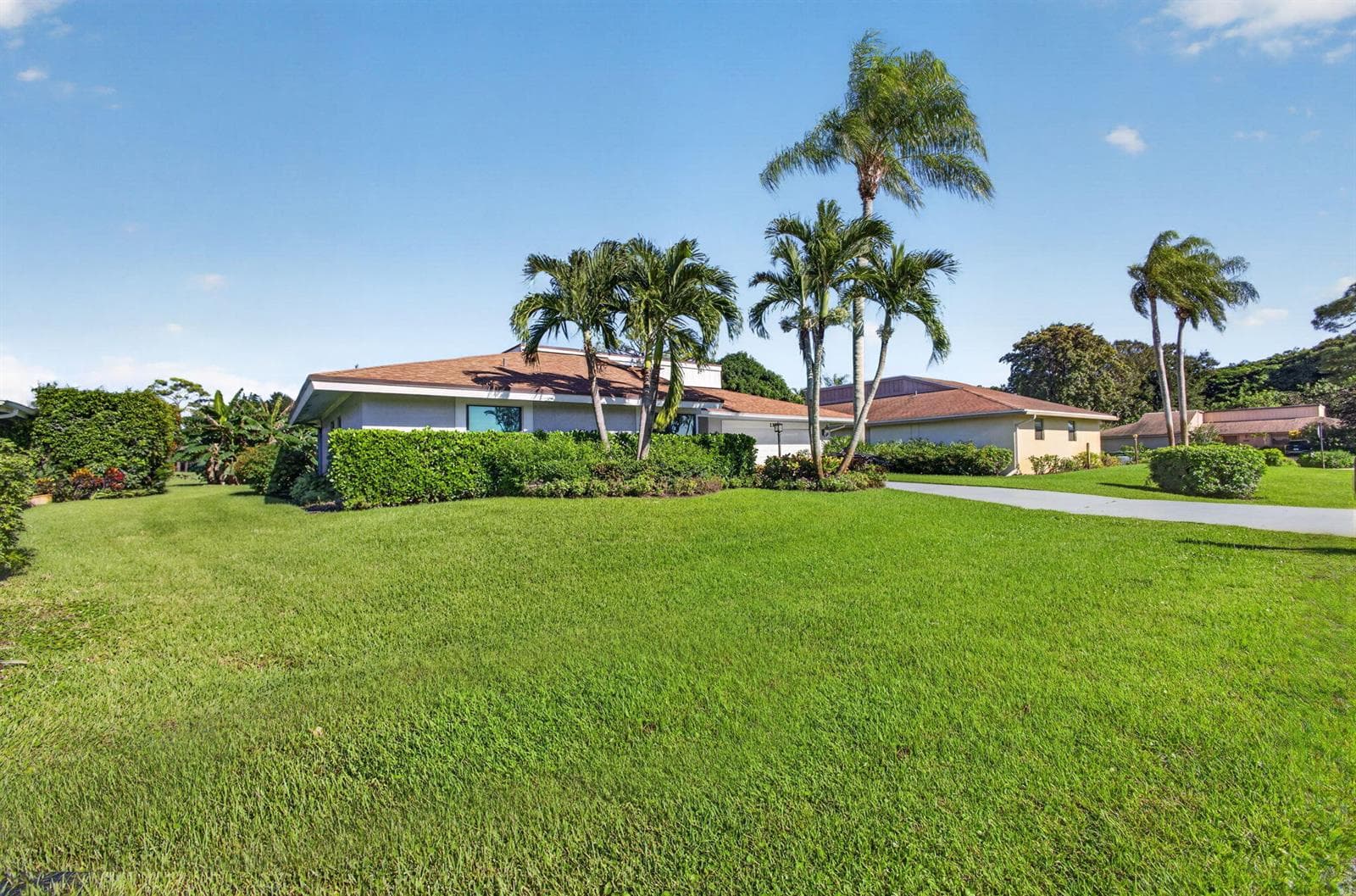 3-web-or-mls-5D1A1450