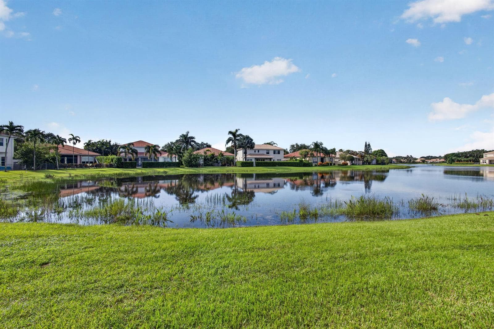 71-web-or-mls-5D1A9524