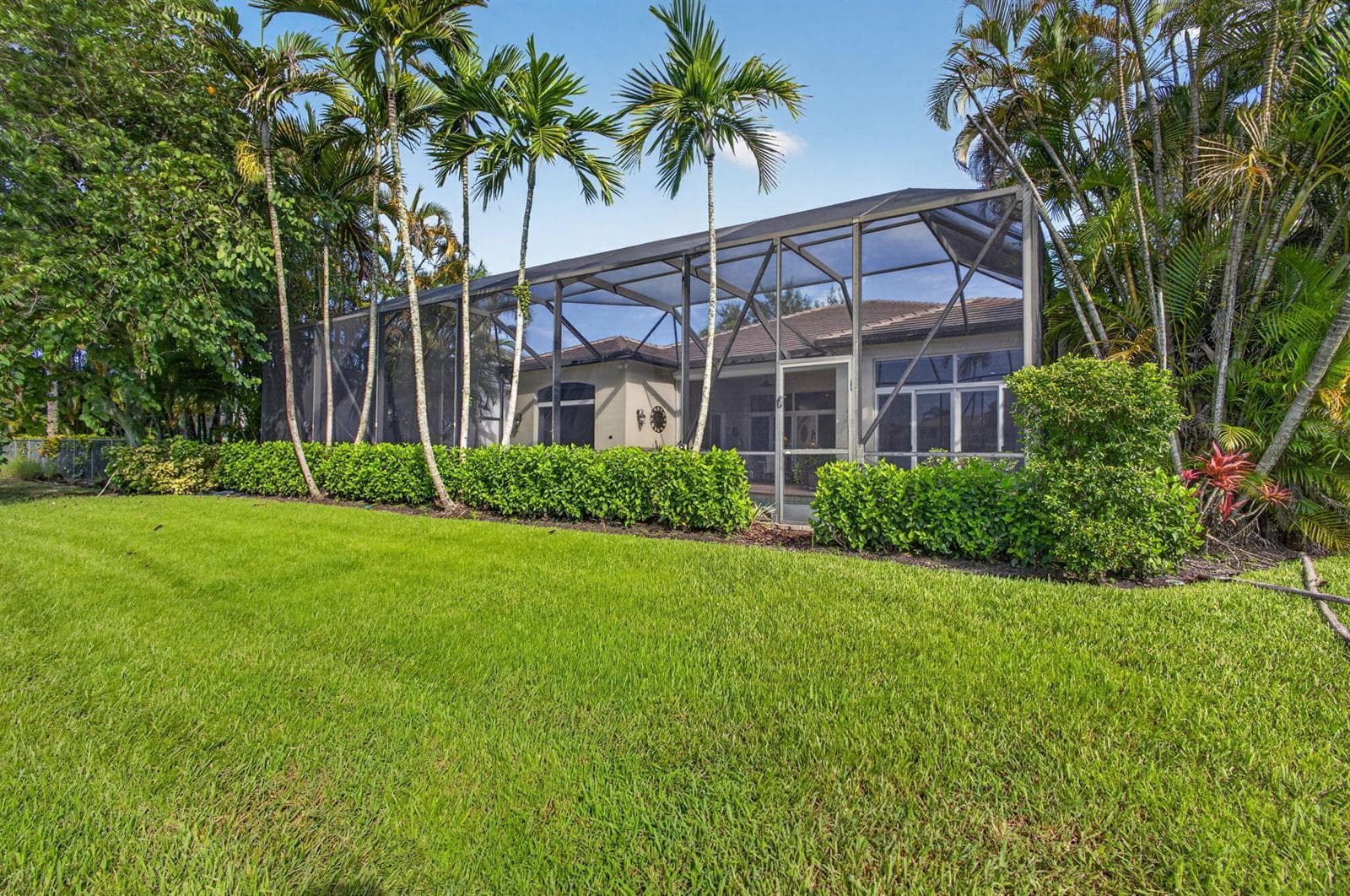 75-web-or-mls-5D1A9544