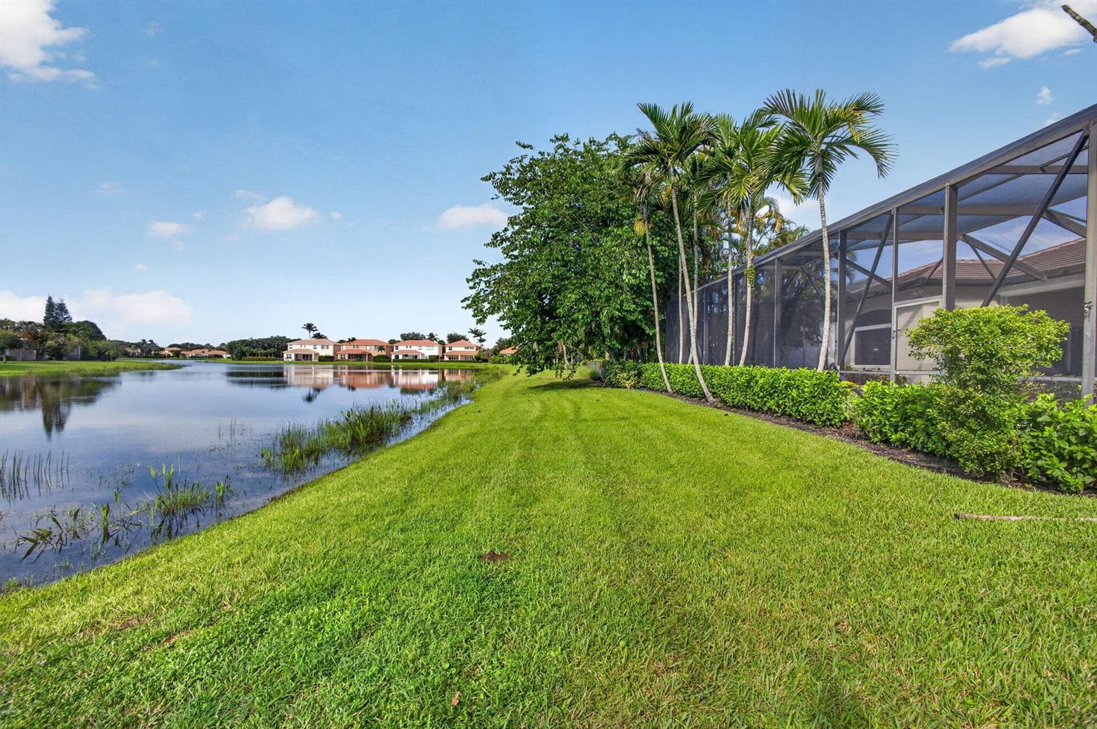 73-web-or-mls-5D1A9537