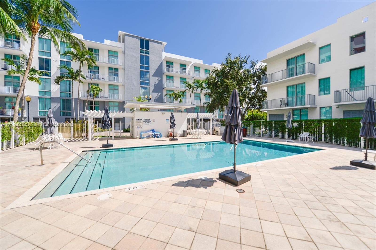 Rectangular swimming pool featuring integrated steps, surrounded by stone-paver decking, a pergola-style structure, and mature palm trees