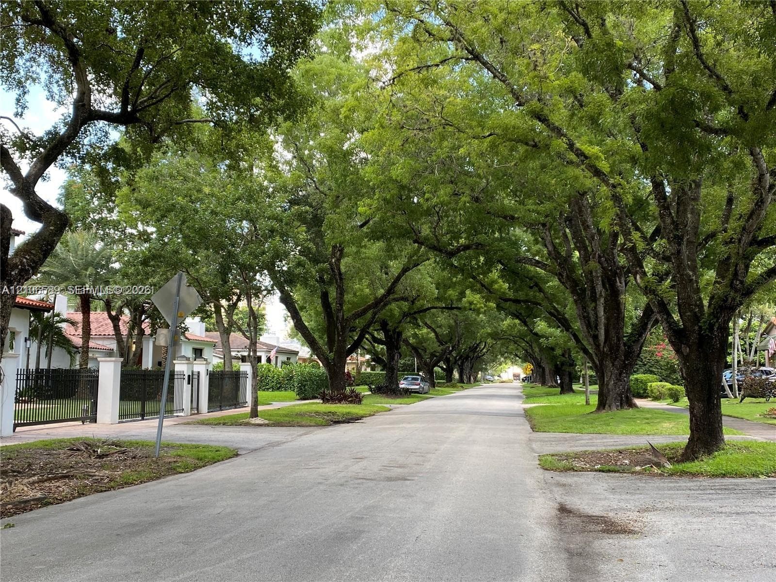 Asphalt thoroughfare lined with mature trees and grass verges