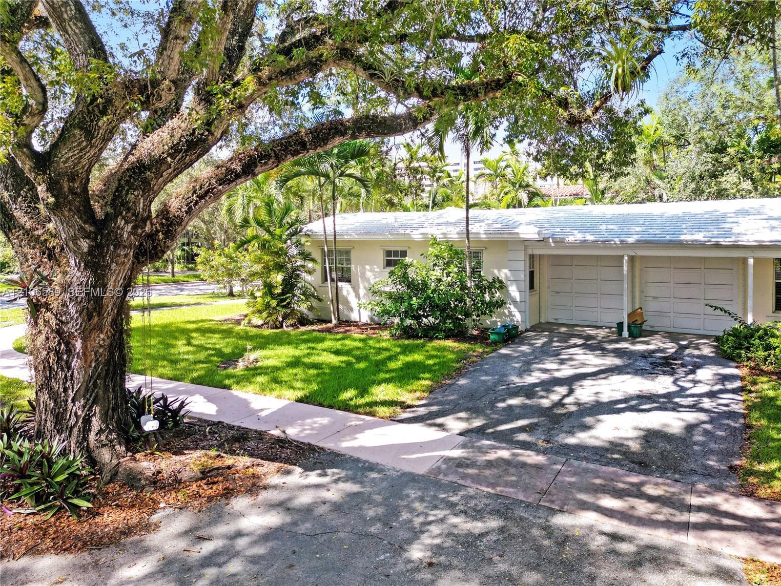 Single-story exterior featuring a two-car garage, concrete driveway, mature oak tree, and lush landscaping