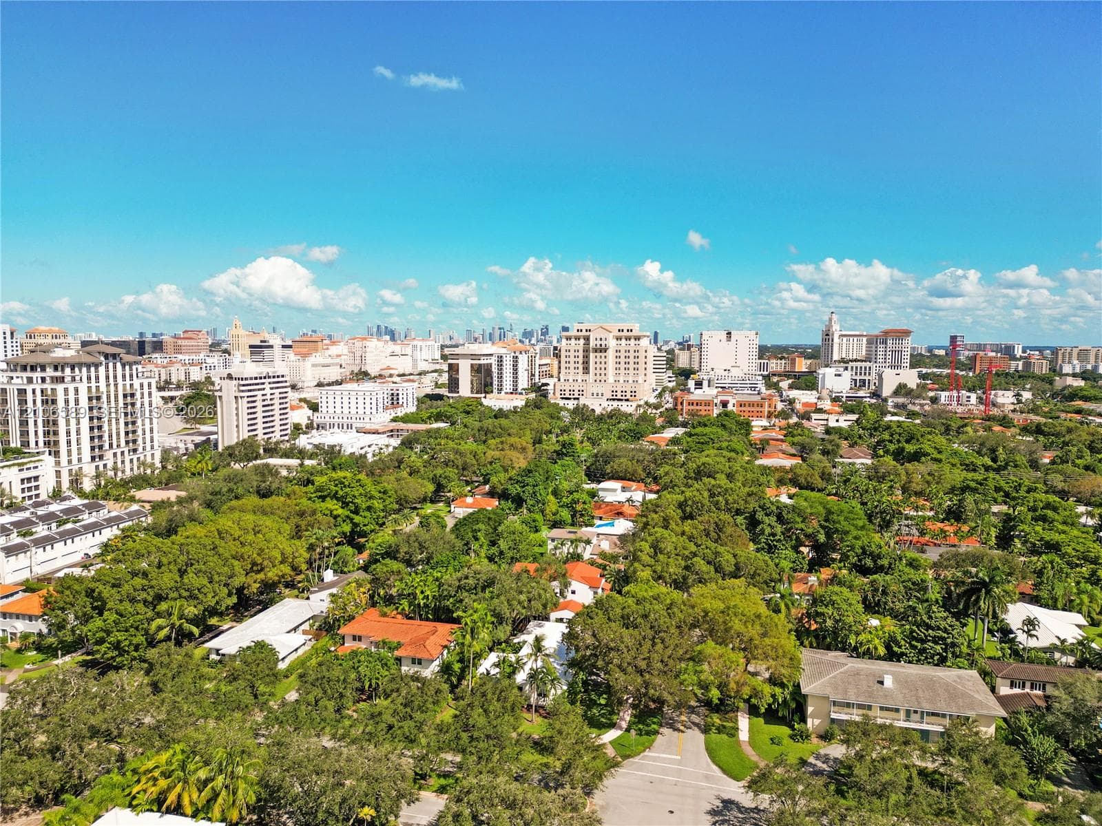 Aerial perspective of a neighborhood featuring mature canopy trees, varied residential architecture, and a skyline backdrop