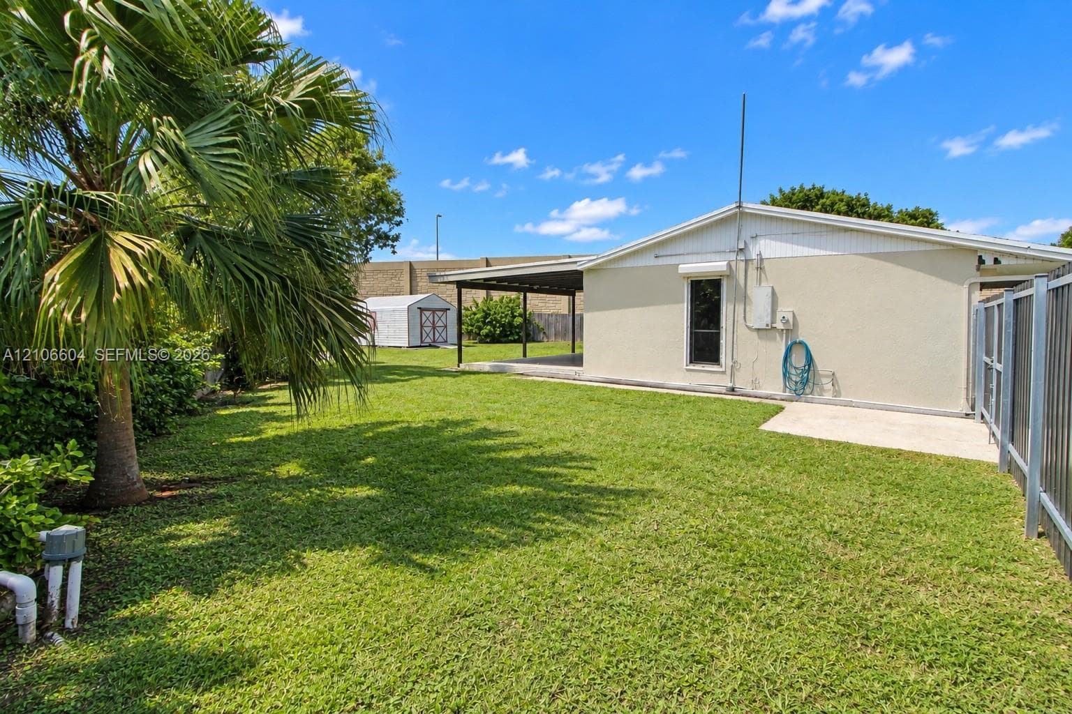 Expansive backyard featuring a manicured lawn, covered patio, mature palm tree, and a detached storage structure enclosed by a perimeter fence