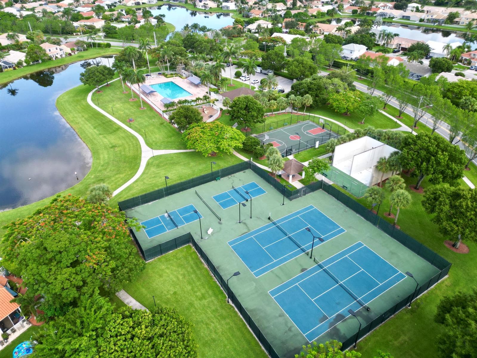 Tennis, Pickle ball & RacquetBall