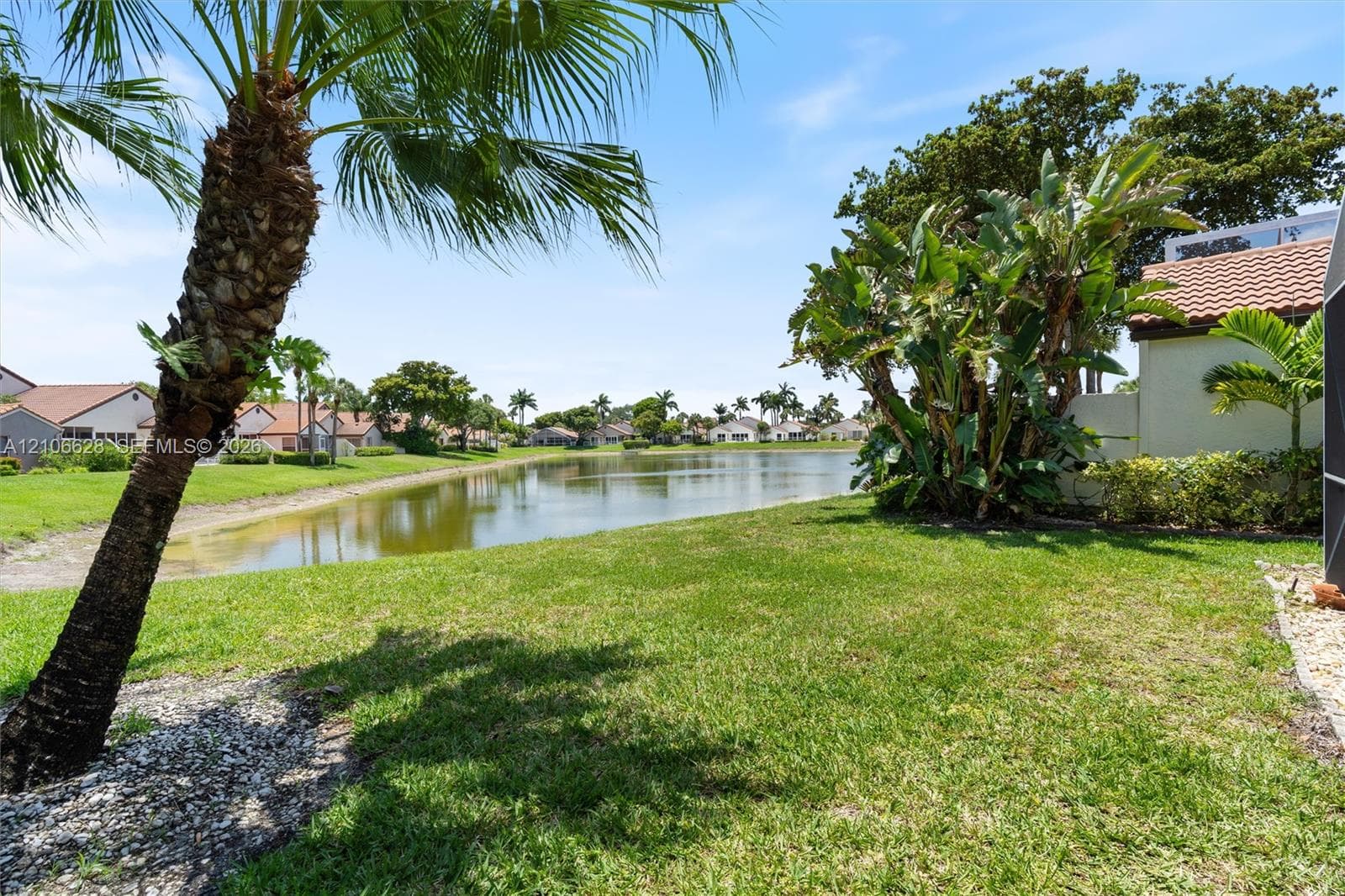 Waterfront backyard featuring a manicured lawn, palm trees, mature landscaping, and an open pond setting