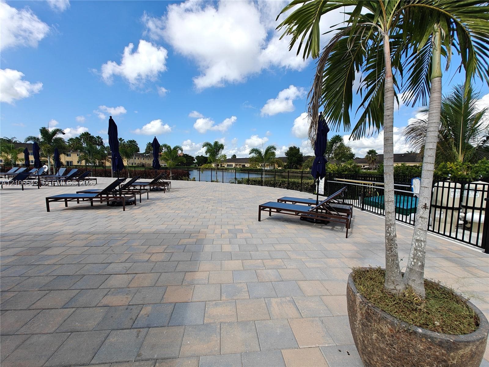 Paver pool deck with metal perimeter fencing, integrated water feature, and mature palm landscaping