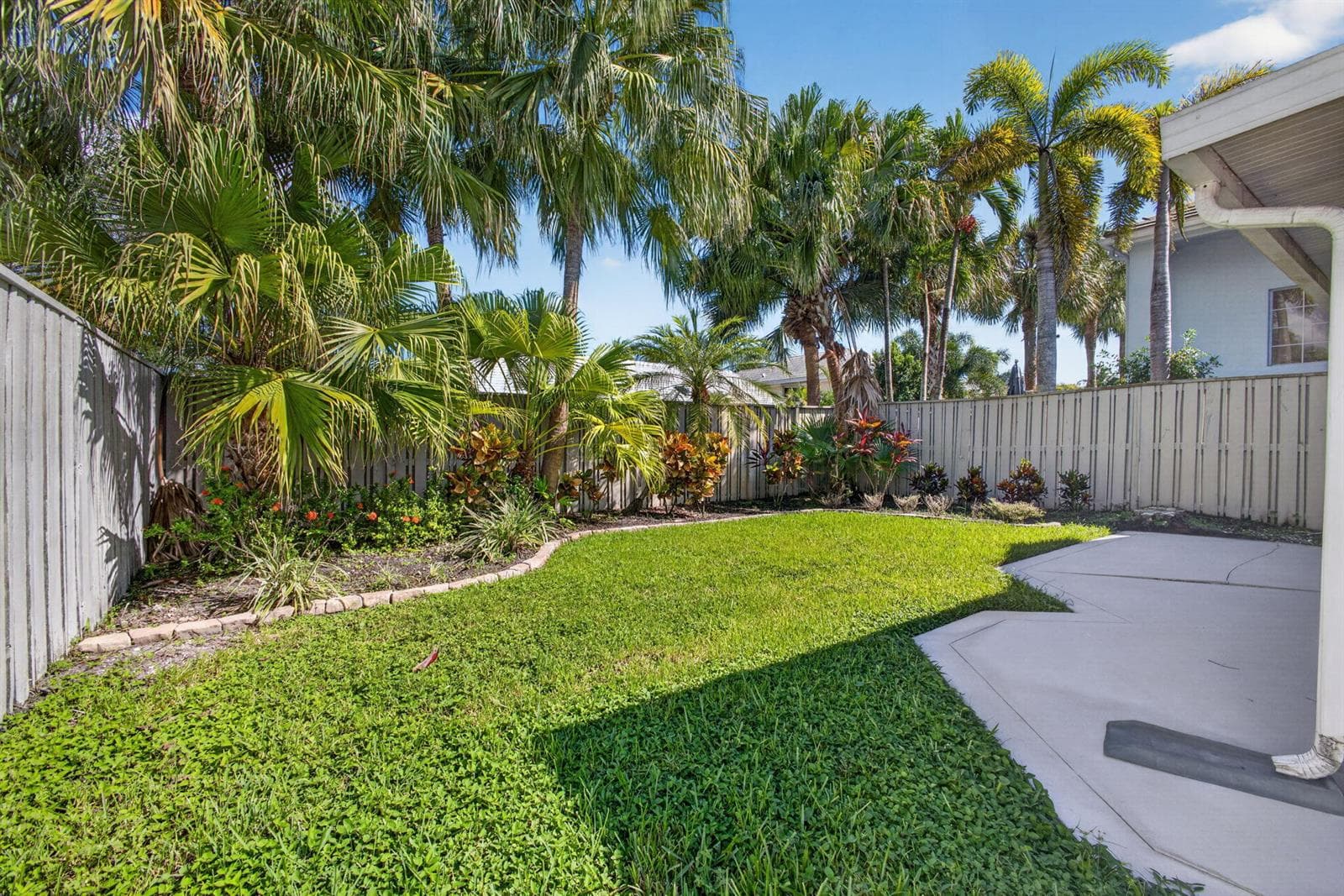 52-web-or-mls-5D1A3300