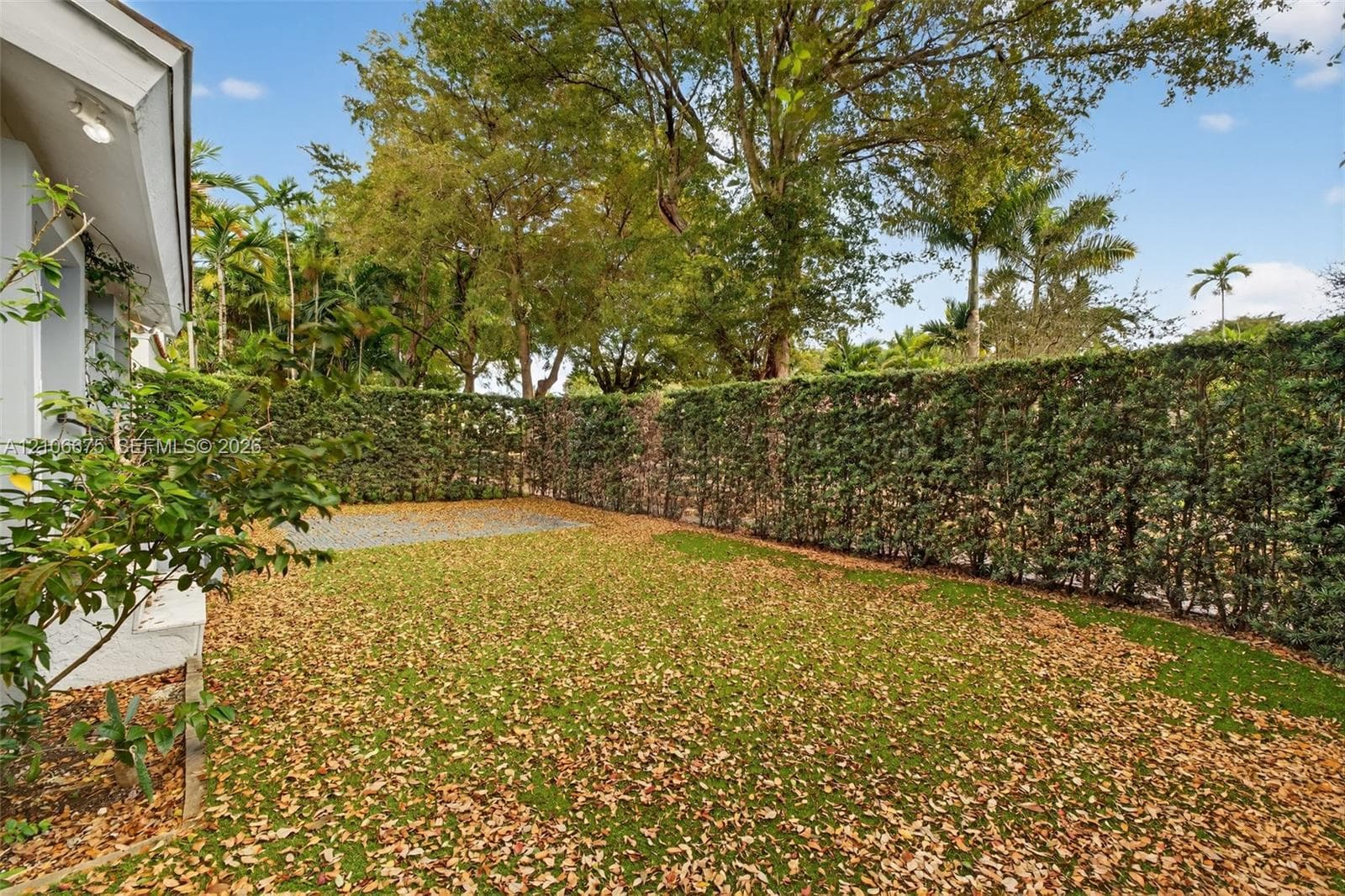 Rear yard area featuring a manicured lawn, established perimeter hedging, and mature trees