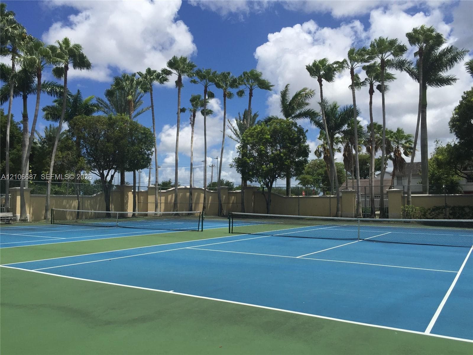 Tennis courts featuring blue and green acrylic surfacing, perimeter chain-link fencing, solid masonry walls, and mature palm trees