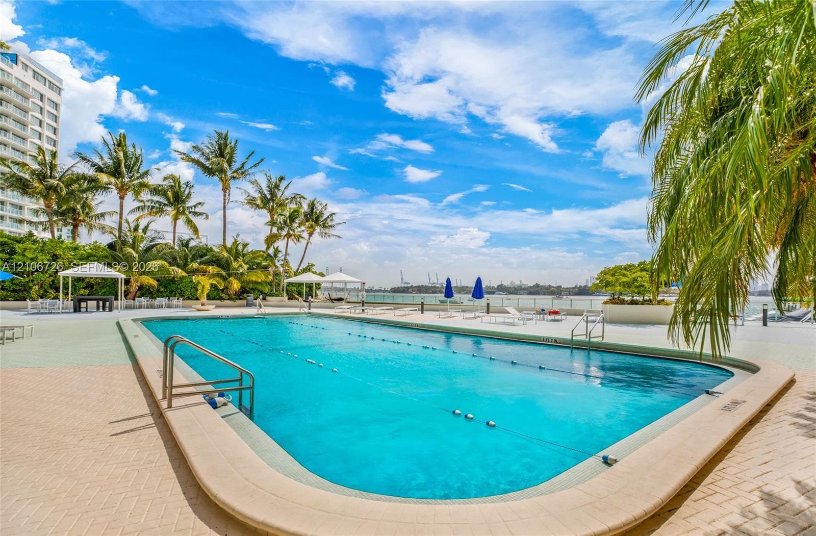 Rectangular swimming pool featuring a brick-paver deck, metal handrails, and a perimeter landscape of mature palm trees