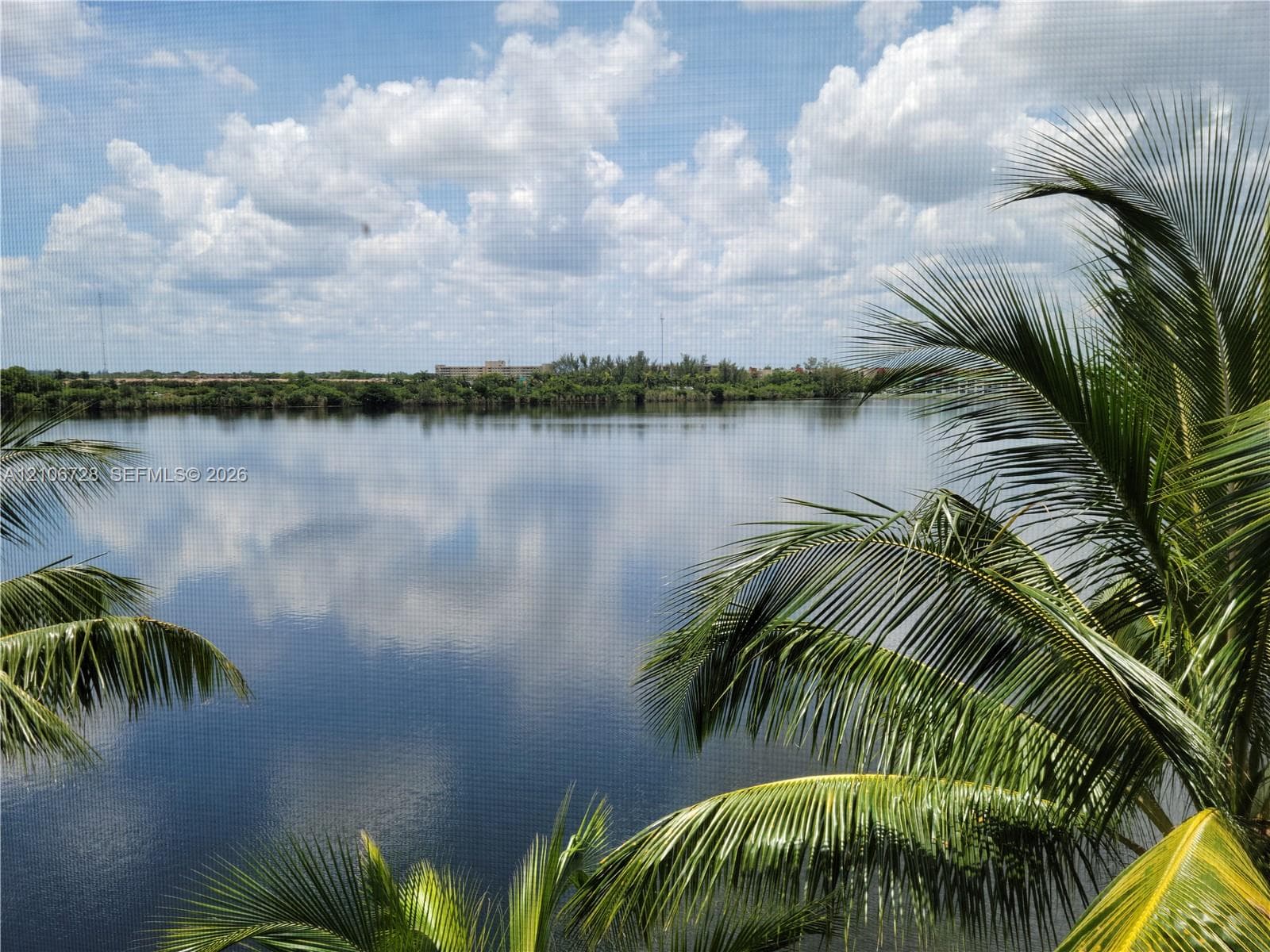 Waterfront setting featuring a prominent lake and established palm trees