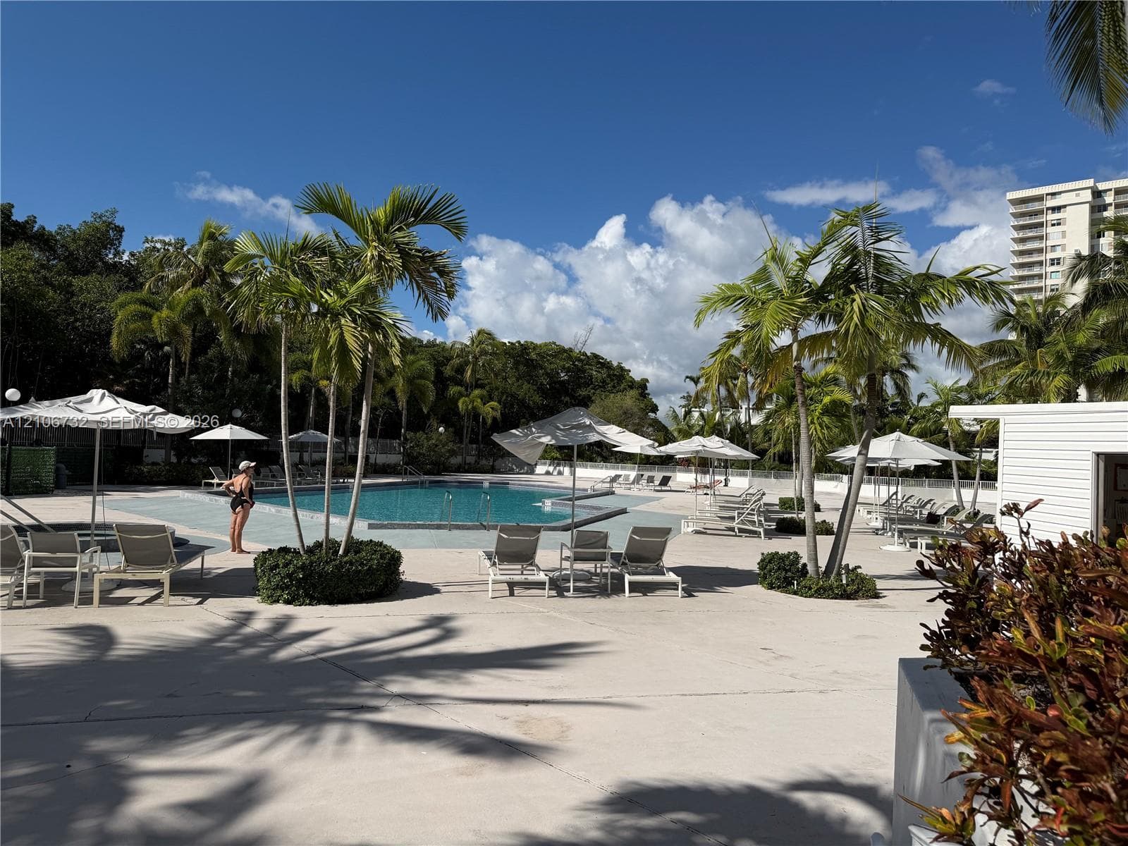 Swimming pool featuring a concrete deck, tiled border, perimeter landscaping, and mature palm trees