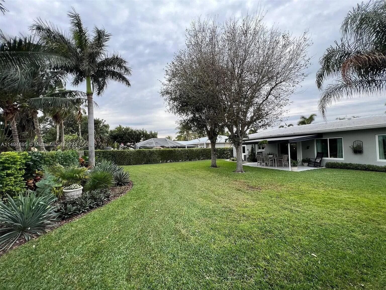 Backyard