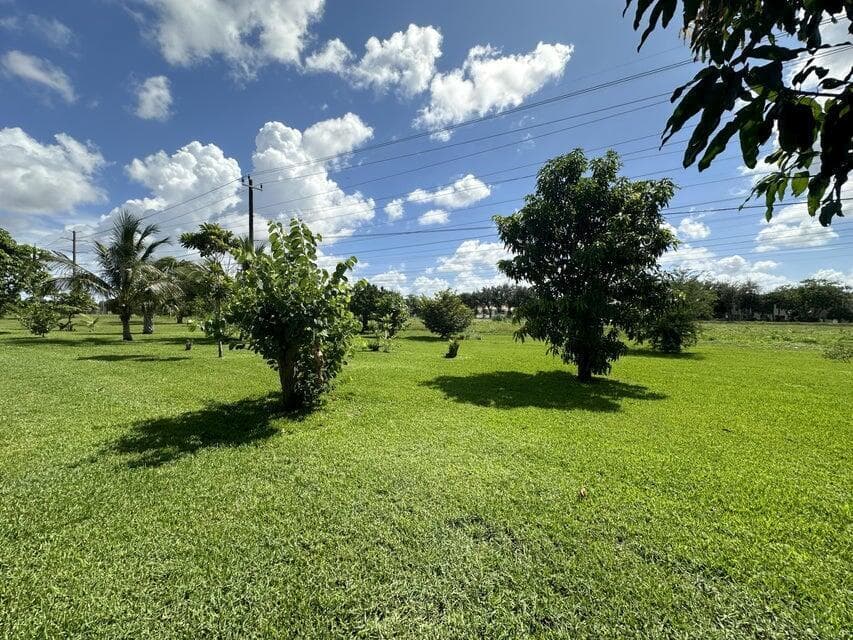 1420 backyard