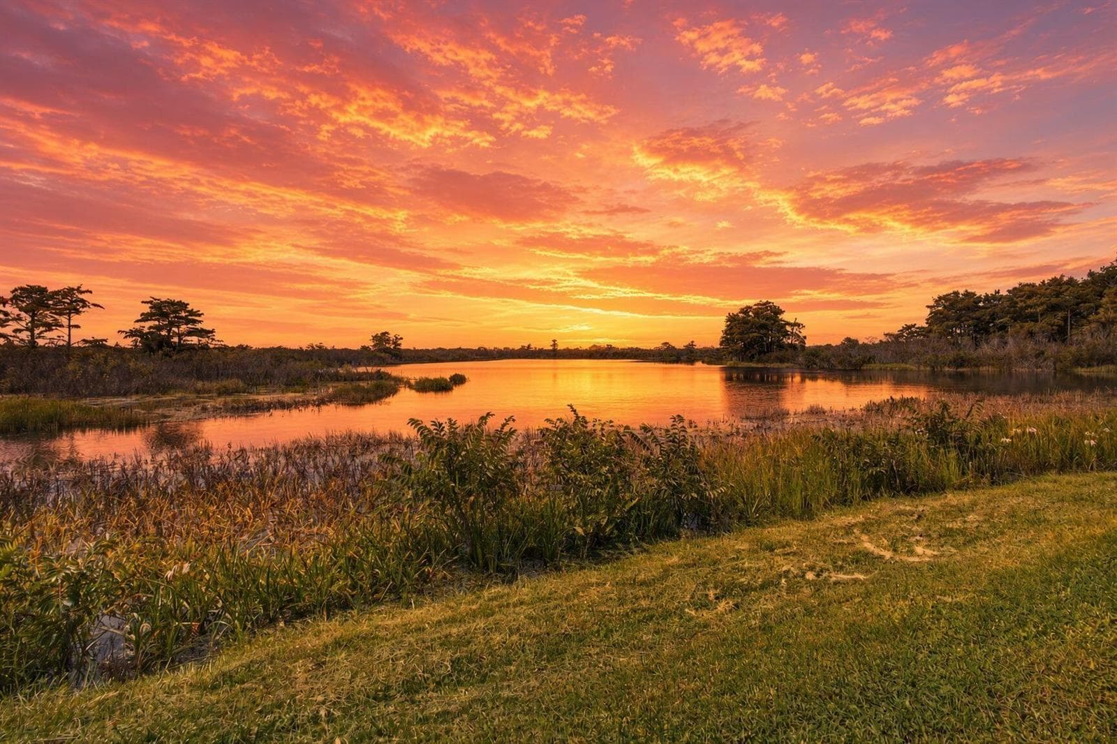 GORGEOUS SUNSETS