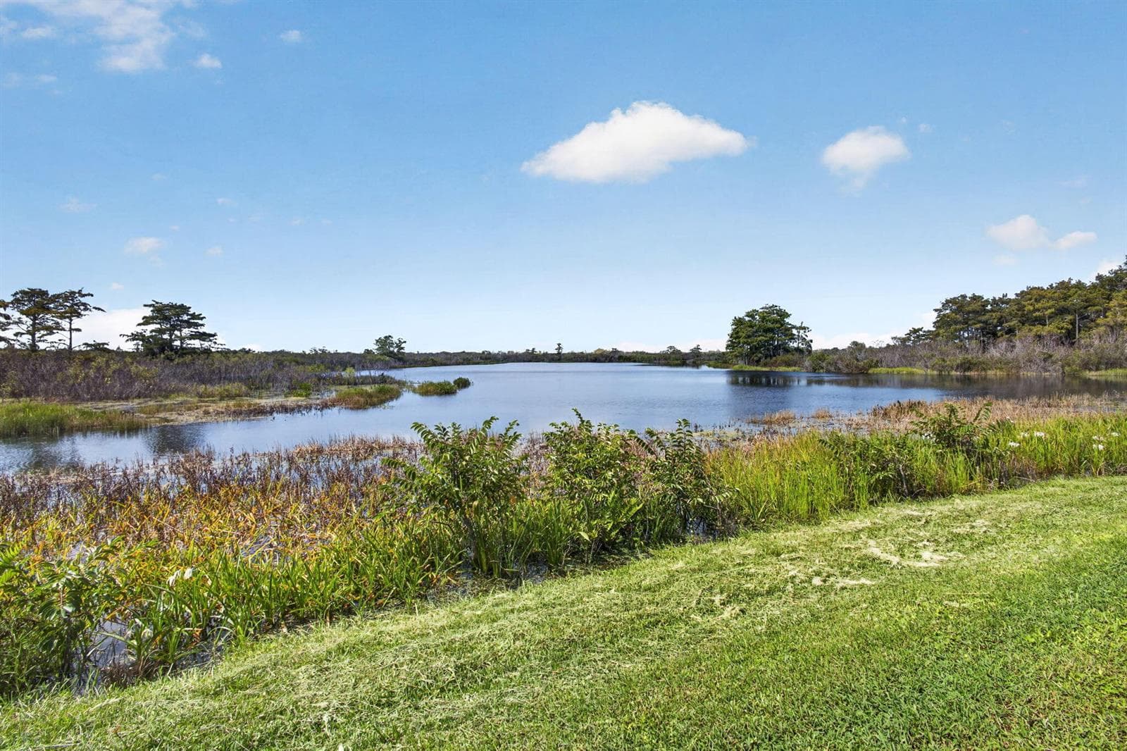 LAKE FROM PROPERTY