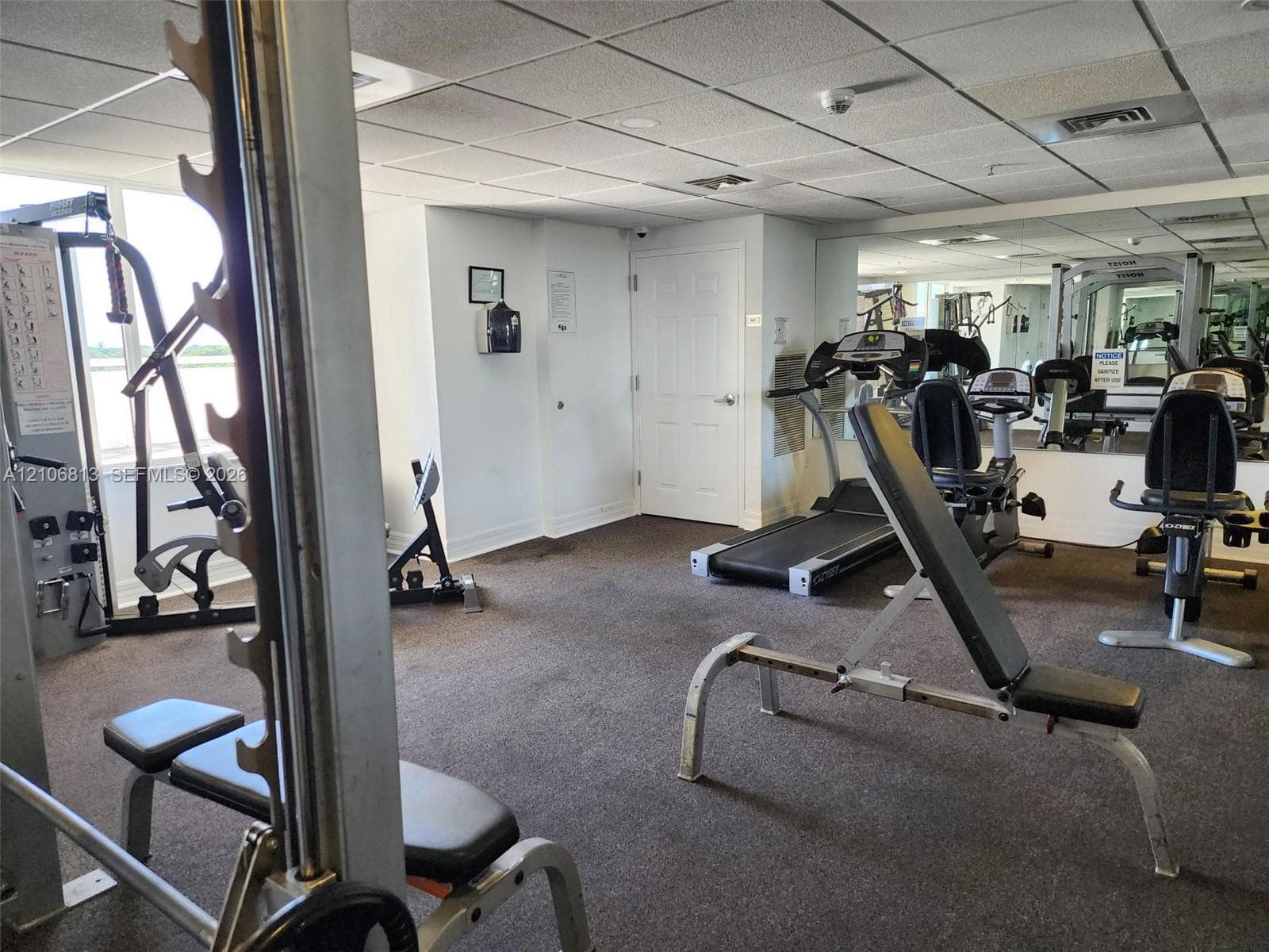 Fitness center featuring wall-to-wall mirrors, recessed grid ceiling, and neutral carpeting