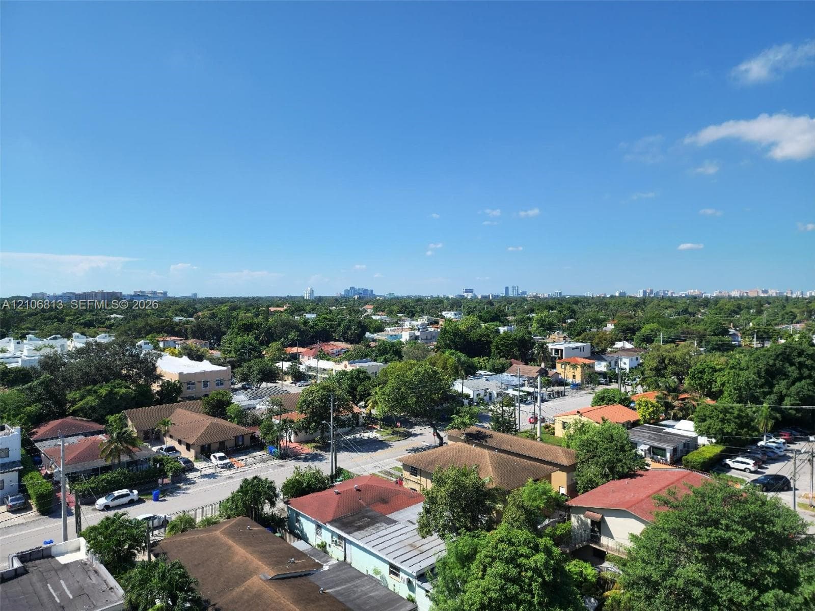 Aerial perspective of a neighborhood featuring residential structures, mature trees, and a distant cityscape