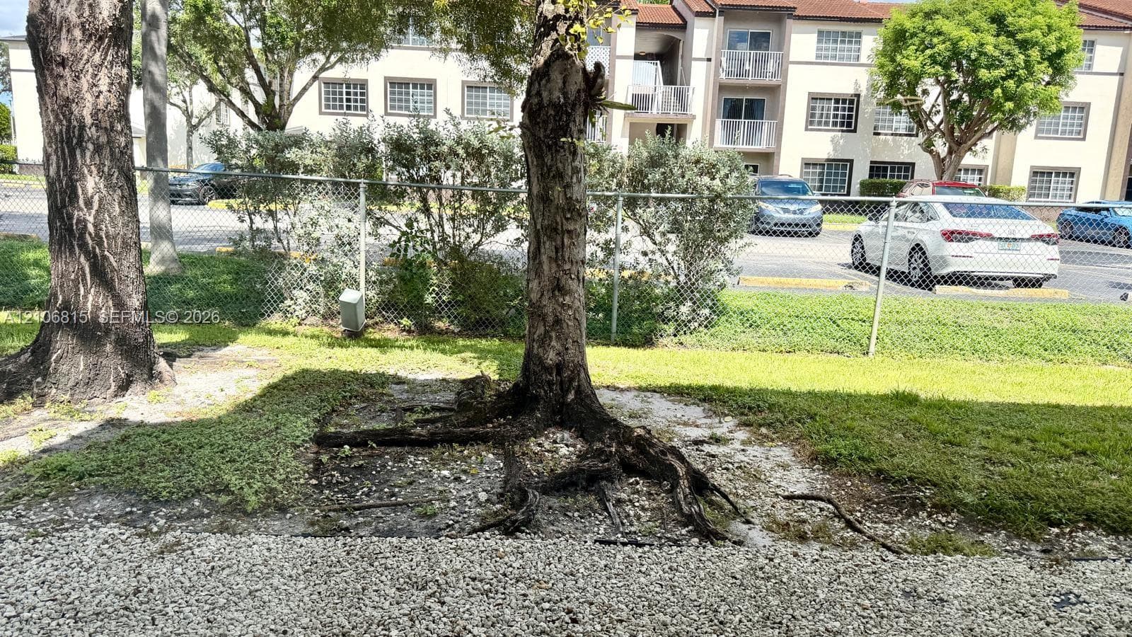 Grassy lawn featuring mature trees and chain-link perimeter fencing