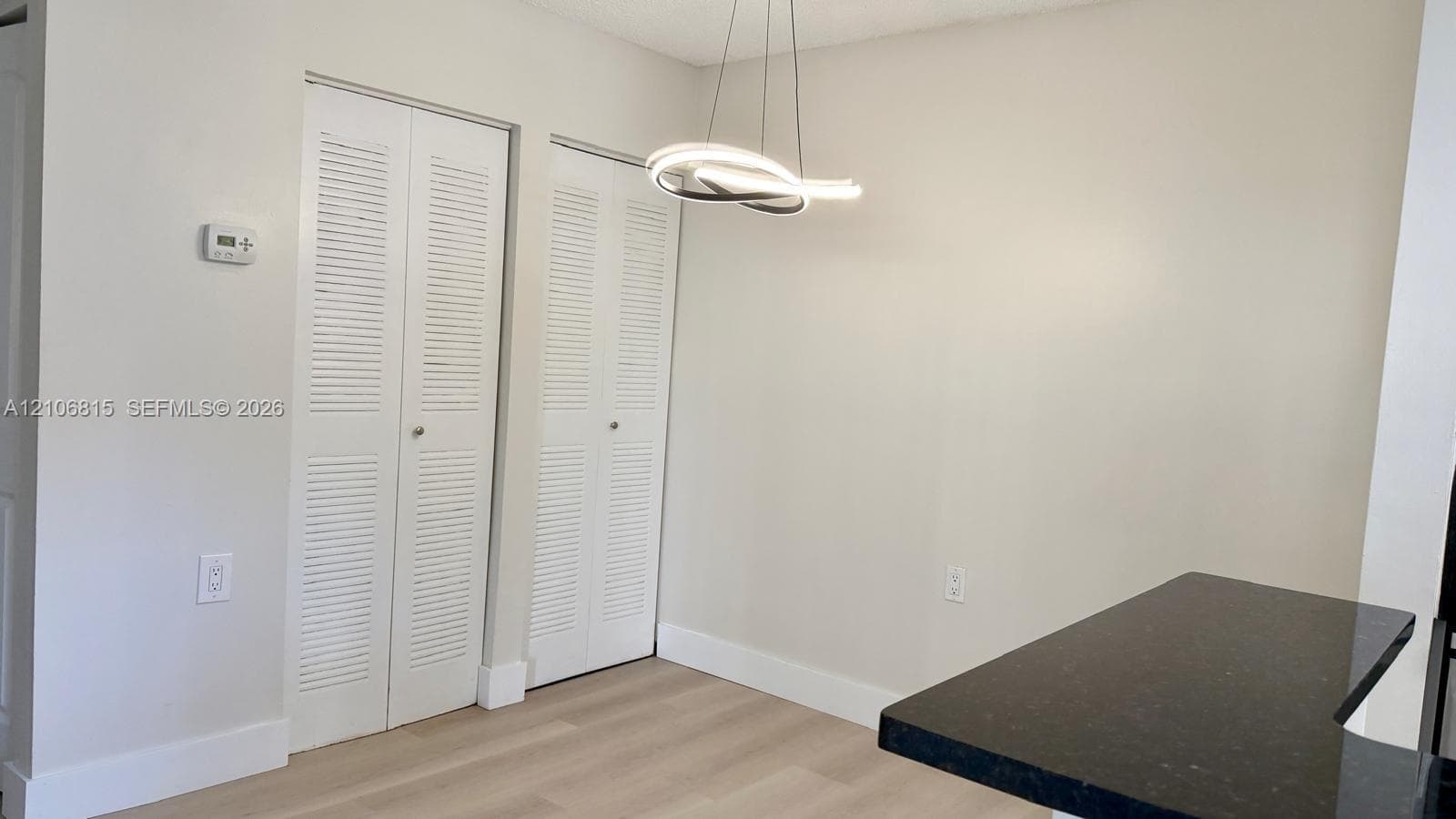 Modern sculptural pendant light, neutral wall palette, dual white louvered-panel closets, and wood-finish flooring with a black stone-surface breakfast bar