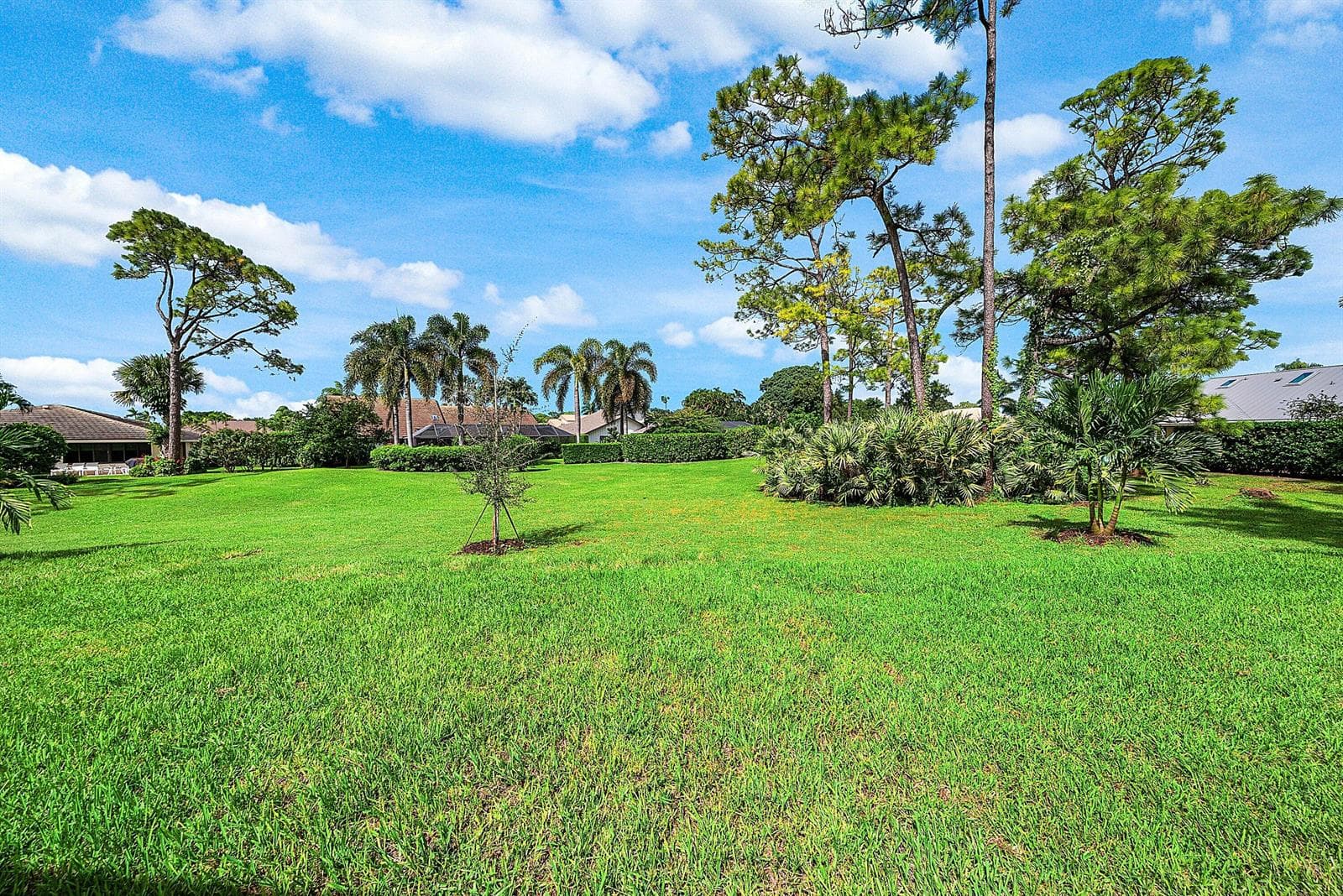 Rear Property