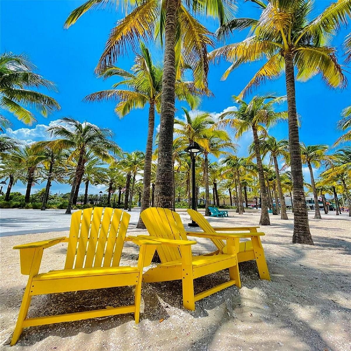 Sandy outdoor grounds featuring mature palm trees and integrated pole-mounted lighting