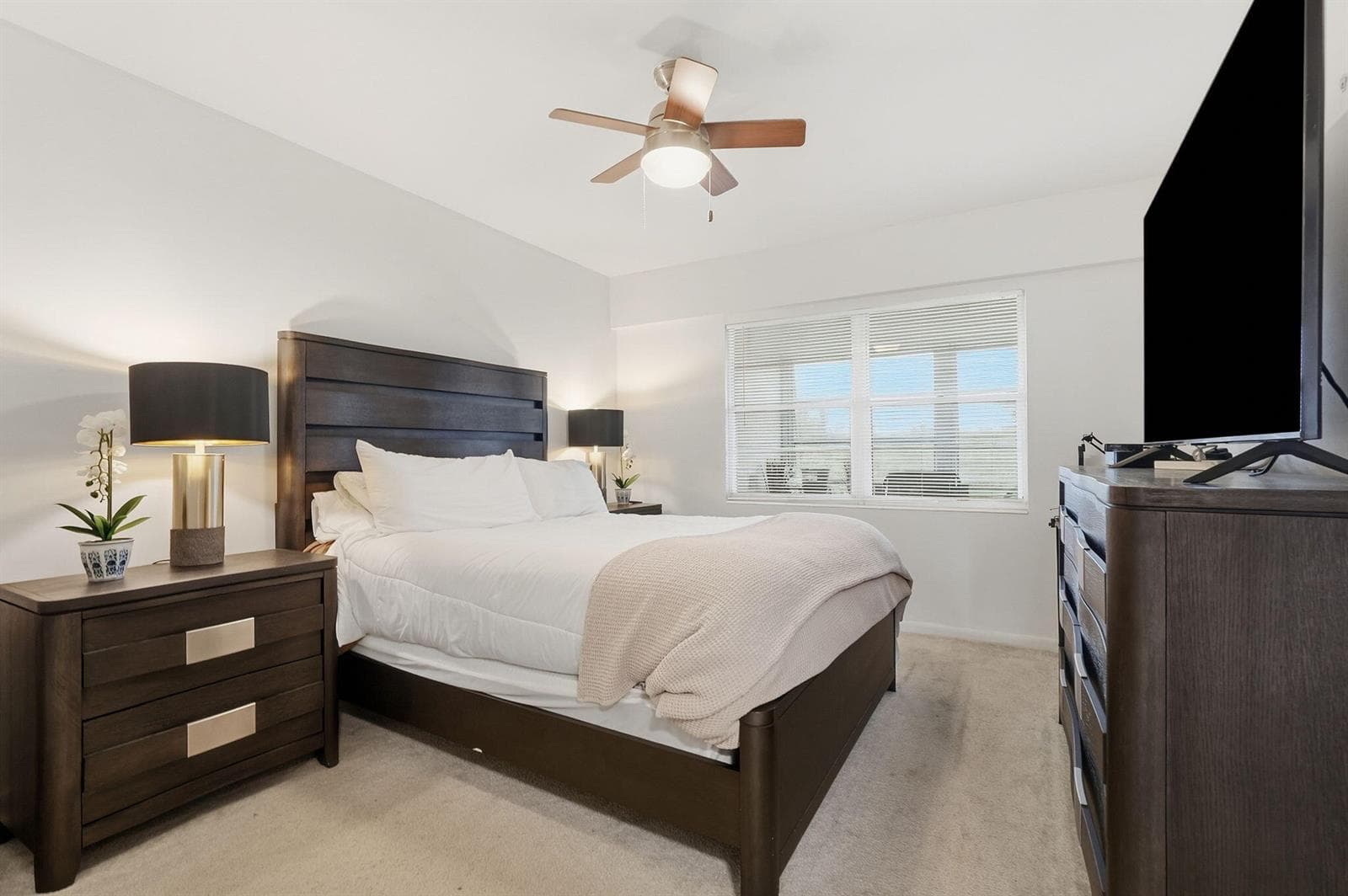 1-web-or-mls-209_Brighton_E_05933