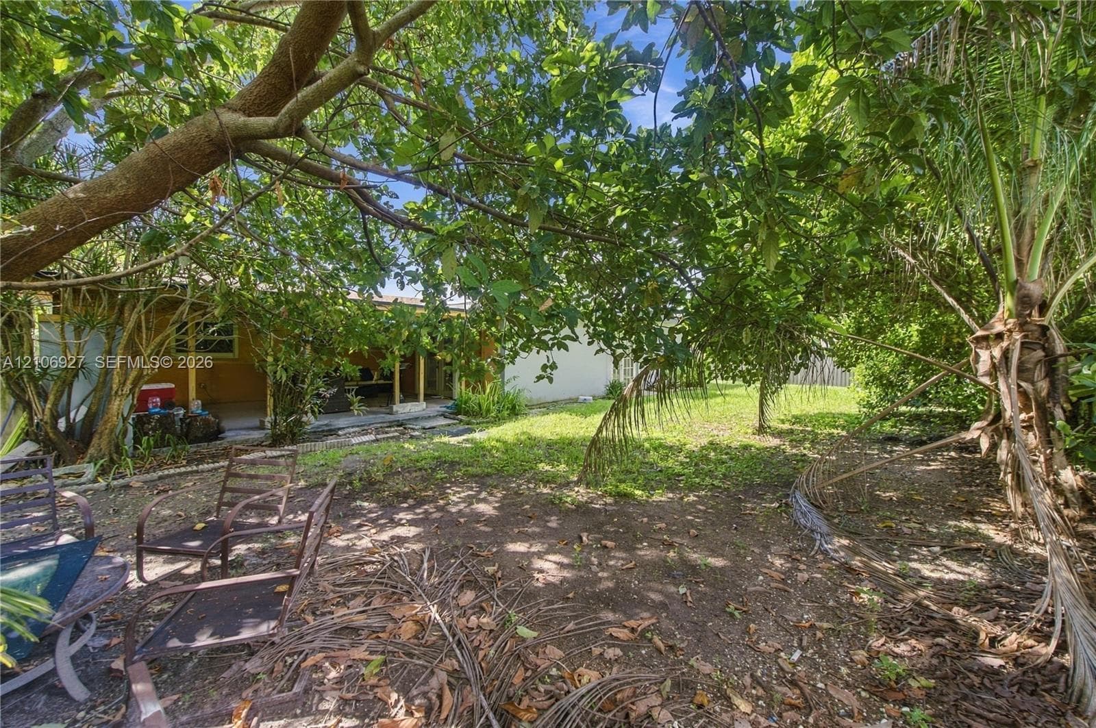 Backyard featuring mature trees, palm vegetation, and a covered porch with structural columns